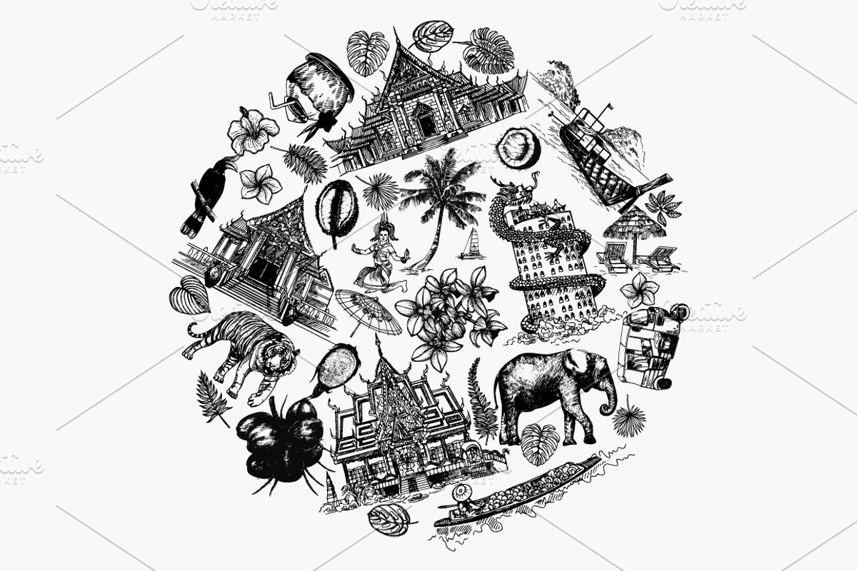 Thailand, an Animal Illustration by Ecaterina Sciuchina (Photo 8 of 8)