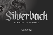 Silverback - Blackletter Typeface, a Blackletter Font by LetterStuff Typefoundry (Thumbnail 1 of 7)