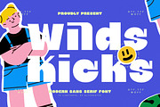 Wilds Kicks Modern Sans Serif, a Serif Font by timelesstype.co (Thumbnail 1 of 20)