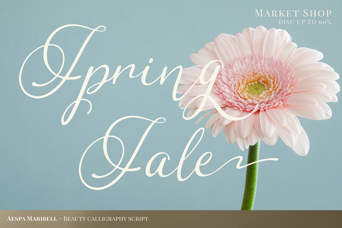 Aespa Maribell | Beauty Calligraphy, a Script Font by Denustudios (Photo 8 of 15)