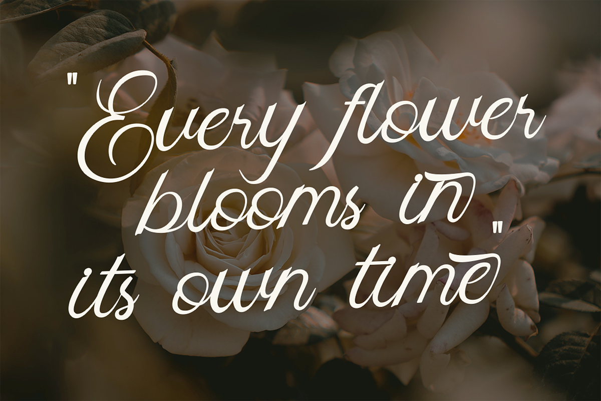 Skipten - Script Handwritten Font, a Script Font by Pekotype (Photo 7 of 11)