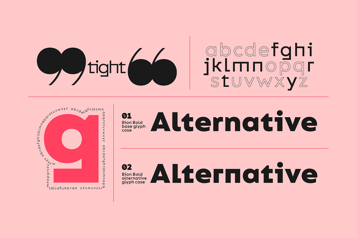 Bion Font Family, a Sans Serif Font by Type Forward (Photo 4 of 9)