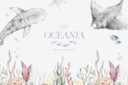 Ocean Animals. Underwater watercolor, an Animal Illustration by Kreker Kate (Thumbnail 10 of 10)