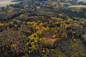 Autumn #2, a Nature Photo by jakub_kopecky
