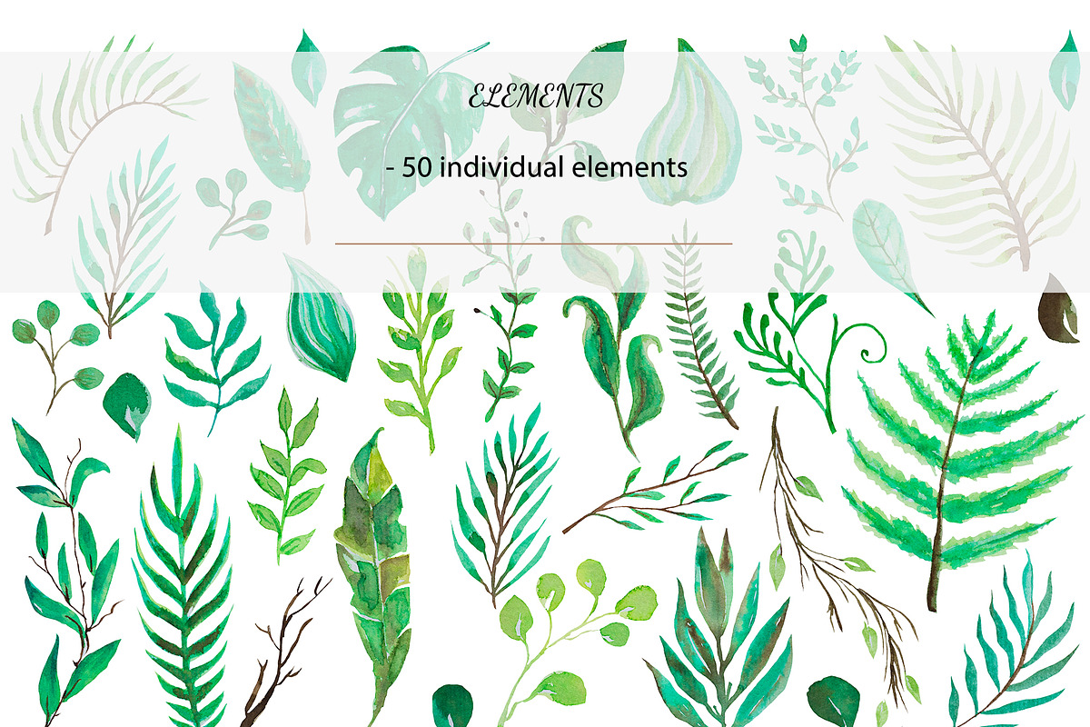 Watercolor Leaves Set, an Object Graphic by YuMyart (Photo 2 of 4)