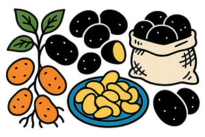 Colorful vector illustration of, a Food Illustration by ZinetroN