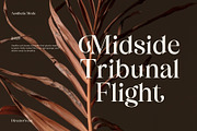 Bisquine; Display Serif Font, a Serif Font by Eko Bimantara (Thumbnail 2 of 8)