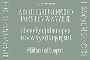 BLOWING PROPHECY - Absonstype, a Serif Font by Absonstype (Thumbnail 11 of 11)