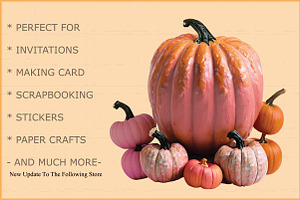 Pink Pumpkins Fall Sublimation