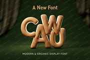 Cawu - Elegant Minimalist Serif, a Serif Font by Astuti Studio (Thumbnail 8 of 25)