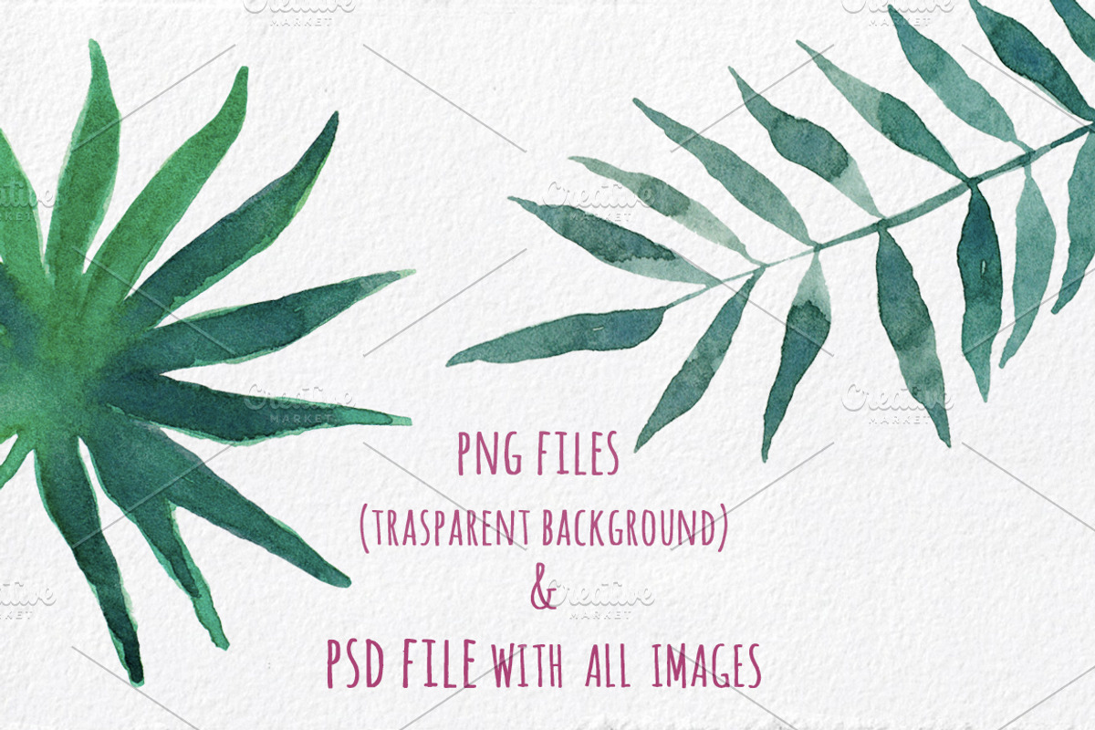 Tropical Clipart - Hand painted, a Decorative Illustration by MaraquelaStudio (Photo 7 of 8)