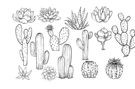 cactus plant handdrawn collection, an Object Graphic by nikagraphic