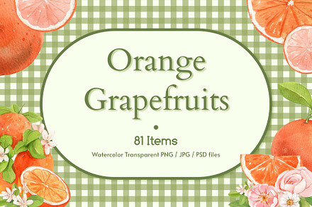 Orange Grapefruits Watercolor, a Food Illustration by CreativeValuation
