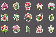Botanical Flower Sticker Clipart, an Illustration by Designworld (Thumbnail 2 of 3)