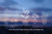 House Plants Clip Art Vector & Png, a Decorative Illustration by Digital Sugar (Thumbnail 5 of 5)