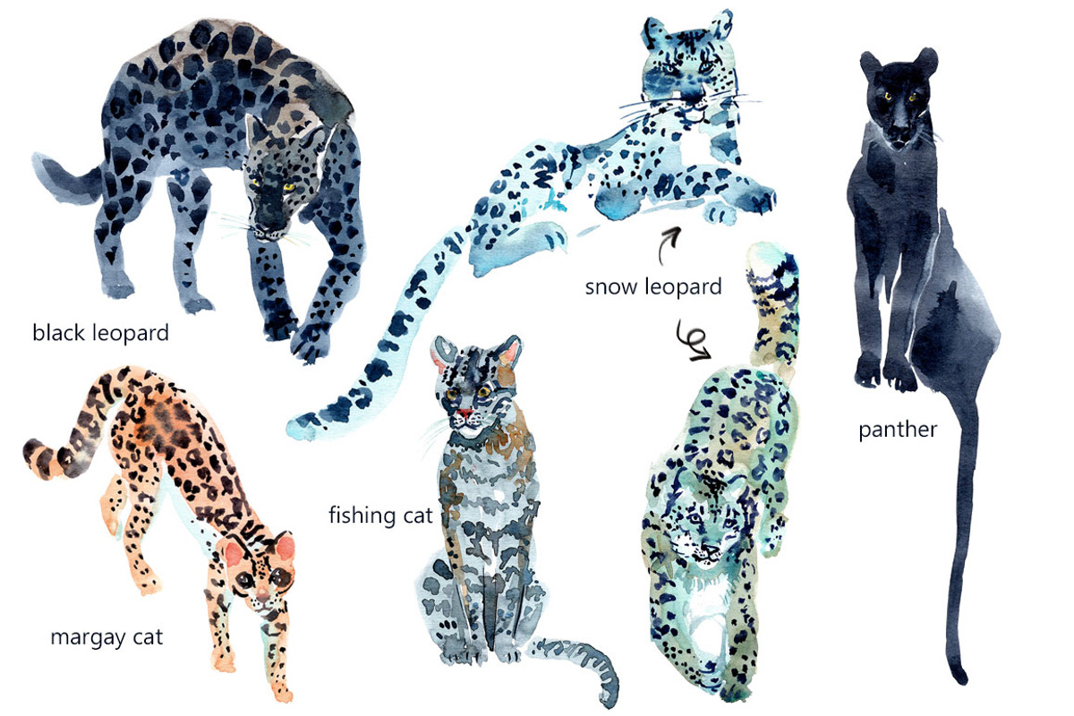 Watercolor WILD cats, an Animal Illustration by Anastasia (Photo 9 of 13)