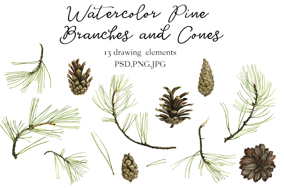 Watercolor Pine Branches and Cones, a Decorative Illustration by cat_arch_angel (Photo 2 of 5)