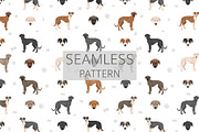 American Staghound dog, an Animal Illustration by pet design shop (Thumbnail 6 of 6)