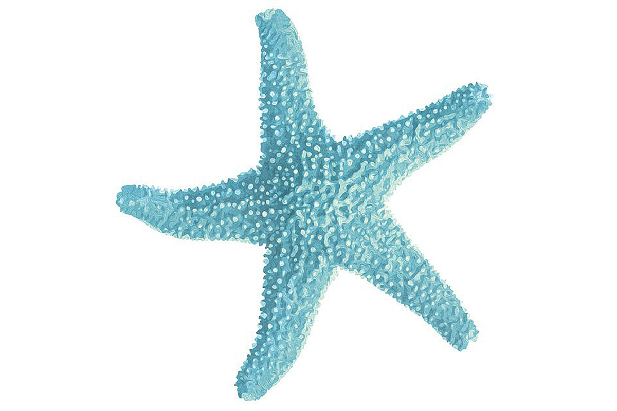 Blue Starfish Illustration, a Decorative Illustration by Digital Art Downloads (Photo 1 of 3)