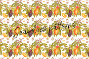 Mango clipart in botanical style, a Food Illustration by Ann Astro (Thumbnail 9 of 10)