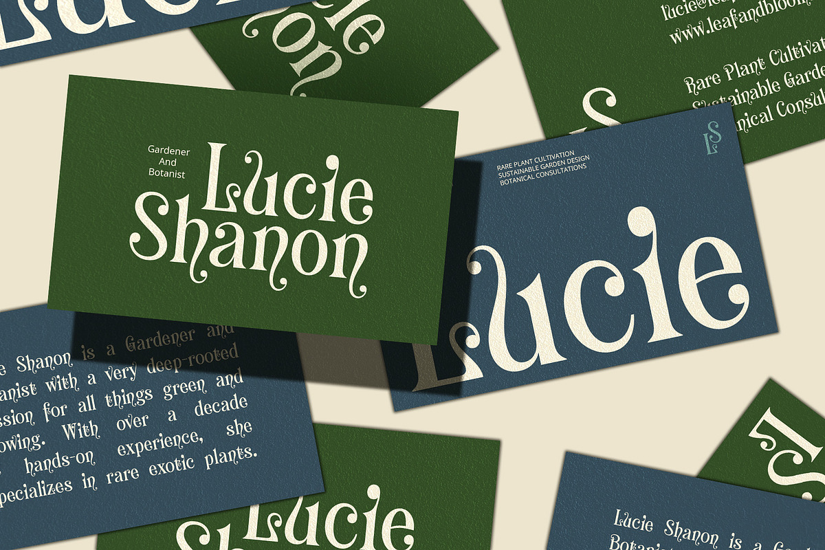 CS Aquary – Fantasy Font, a Serif Font by Craft Supply Co. (Photo 7 of 8)