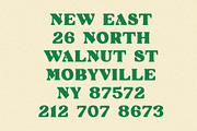 Fortune | A Lucky Display Font, a Serif Font by Taylor Penton (Thumbnail 5 of 6)