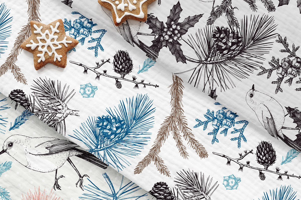 Vintage Winter Plants Collection, an Object Graphic by Yevheniia (Photo 7 of 8)
