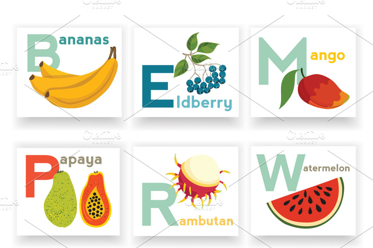 English alphabet vector bundles, an Animal Illustration by Rimma (Photo 5 of 8)