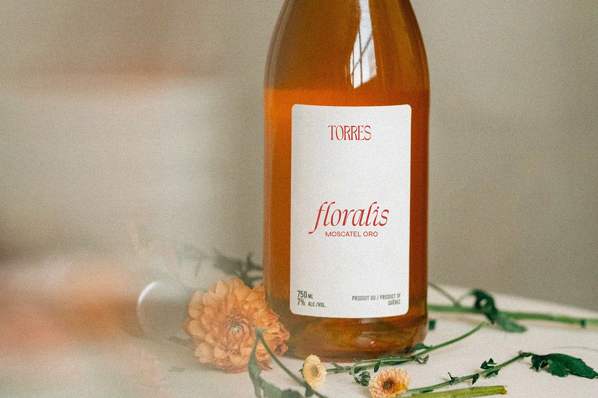 French Flair // Modern Font Duo, a Serif Font by PeachCreme (Photo 4 of 10)