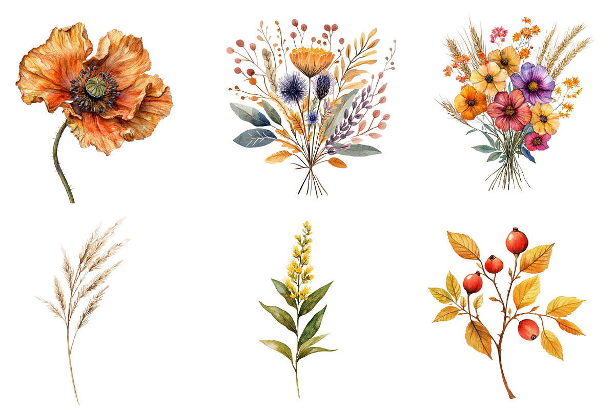 Autumn Wildflowers Clipart, an Illustration by CreationArt (Photo 2 of 5)