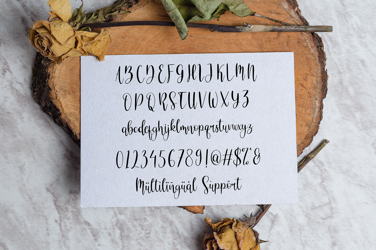 Charlote Shine, a Script Font by Essentials Studio (Photo 9 of 10)