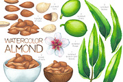 Watercolor almond milk, a Food Illustration by Ekaterina Glazkova (Thumbnail 2 of 11)