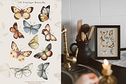 Vintage Forest. Watercolor clipart, an Animal Illustration by Ooh Lily (Thumbnail 10 of 22)
