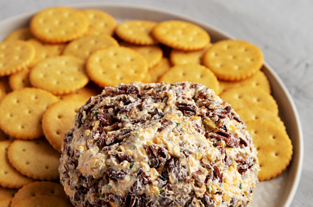 Homemade Cheese Ball with Cream Cheese and Green Onions on a Pla, a Food & Drink Photo by LiudmylaChuhunova