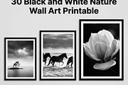 30 Black and White Nature Wall Art, a Nature Photo by Image for Sale (Thumbnail 1 of 3)
