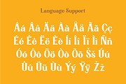 Jensynn, a Serif Font by Studio One Four (Thumbnail 4 of 11)
