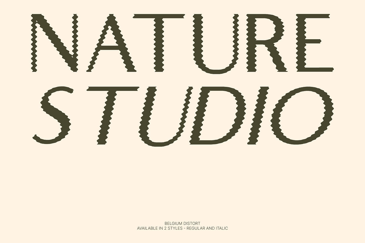 Belgium Distort, a Sans Serif Font by Craft Supply Co. (Photo 2 of 8)