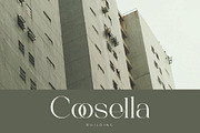 Eclleria - Stylish Serif Font, a Serif Font by Aqeel_Art (Thumbnail 2 of 8)