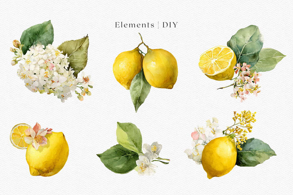 Watercolor Lemons & Hydrangeas, a Decorative Illustration by ThaismotaCreativeCo (Photo 2 of 12)