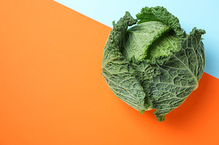 Fresh cabbage on two tone background, copy space, a Food & Drink Photo by AtlasStudio