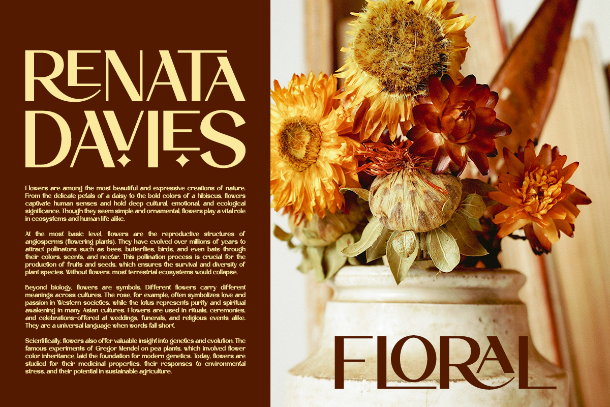 Luxury Ligature Sans Serif - Rochela, a Sans Serif Font by Say Studio (Photo 5 of 11)