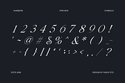 Gavielle Italic Elegant Serif Font, a Serif Font by Rasio Studio (Thumbnail 3 of 9)