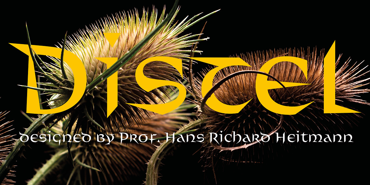 Distel, a Font by Finaltype (Photo 1 of 11)