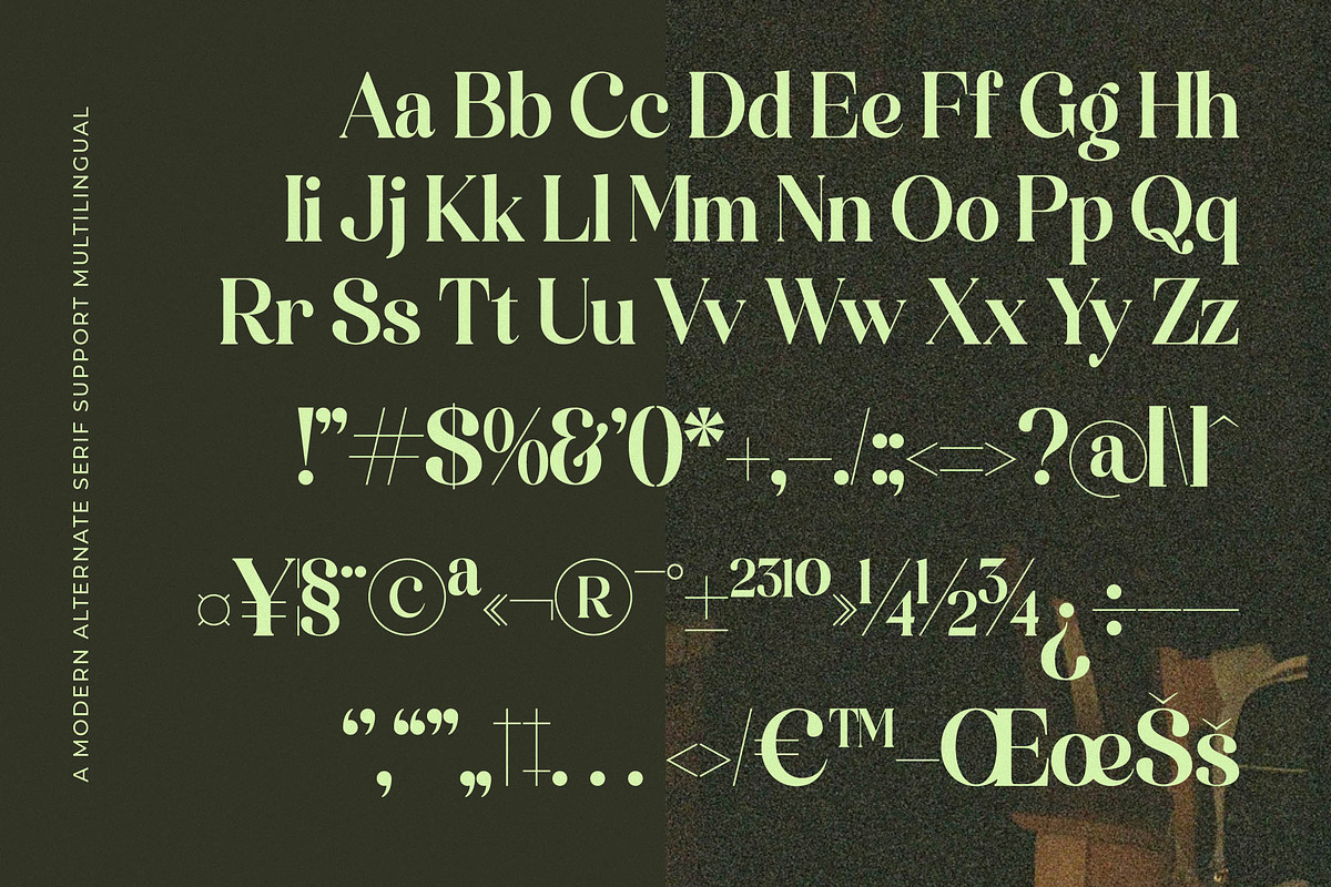 Funky Nights Vintage Modern Serif, a Serif Font by timelesstype.co (Photo 15 of 15)