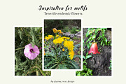Tenerife Floral Millefleurs Patterns, a Pattern Graphic by Rose Design (Thumbnail 10 of 10)