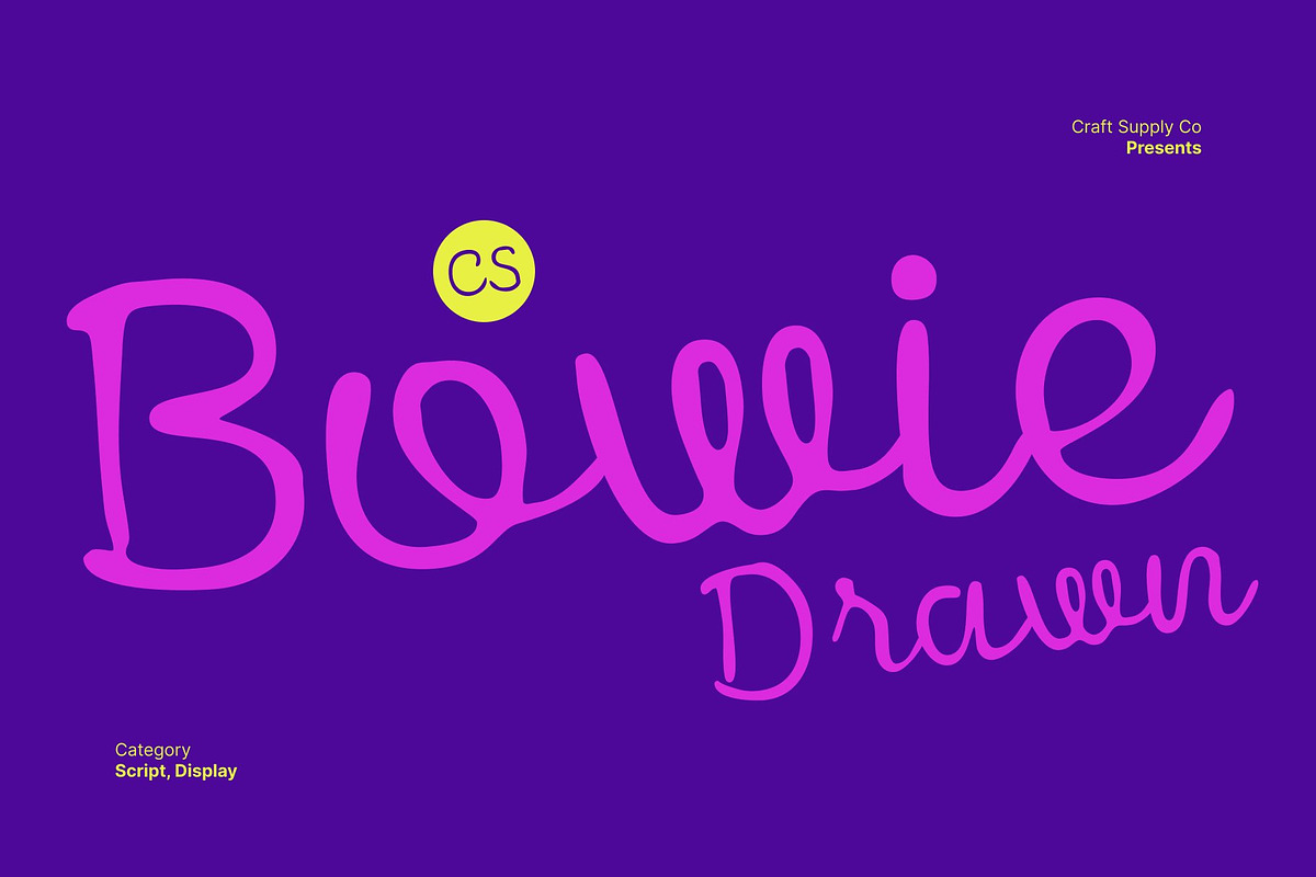 CS Bowie Drawn, a Script Font by Craft Supply Co. (Photo 1 of 8)