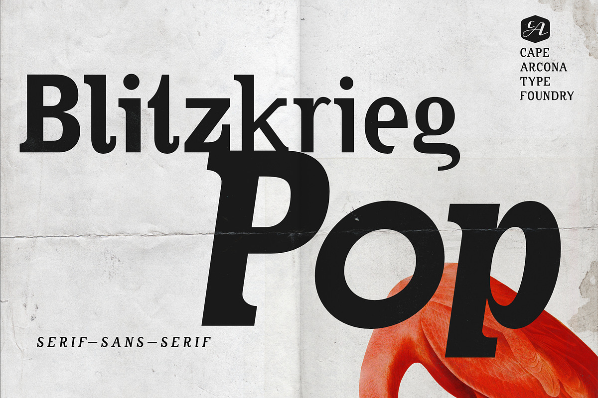 CA Blitzkrieg Pop, a Serif Font by Cape Arcona Type Foundry (Photo 1 of 8)