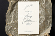 True Signature - Handwriting Script, a Script Font by AndrewPixelType (Thumbnail 7 of 14)