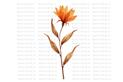 Rust Colored Wildflowers, a Decorative Illustration by Bloom Craft Creations (Thumbnail 5 of 10)
