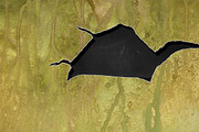 Urban Inked Backgrounds, a Texture Graphic by TheUrbanLine (Thumbnail 9 of 10)